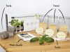 Kit Prêt à Pousser Cultivea® – Herbes Aromatiques Bio (Basilic, Persil, Ciboulette) – Made in France – Image 2