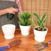 Lot de 10 pots de fleurs en plastique blanc avec soucoupe BELLE VOUS – Élégance et praticité pour vos plantes d’intérieur – Image 5