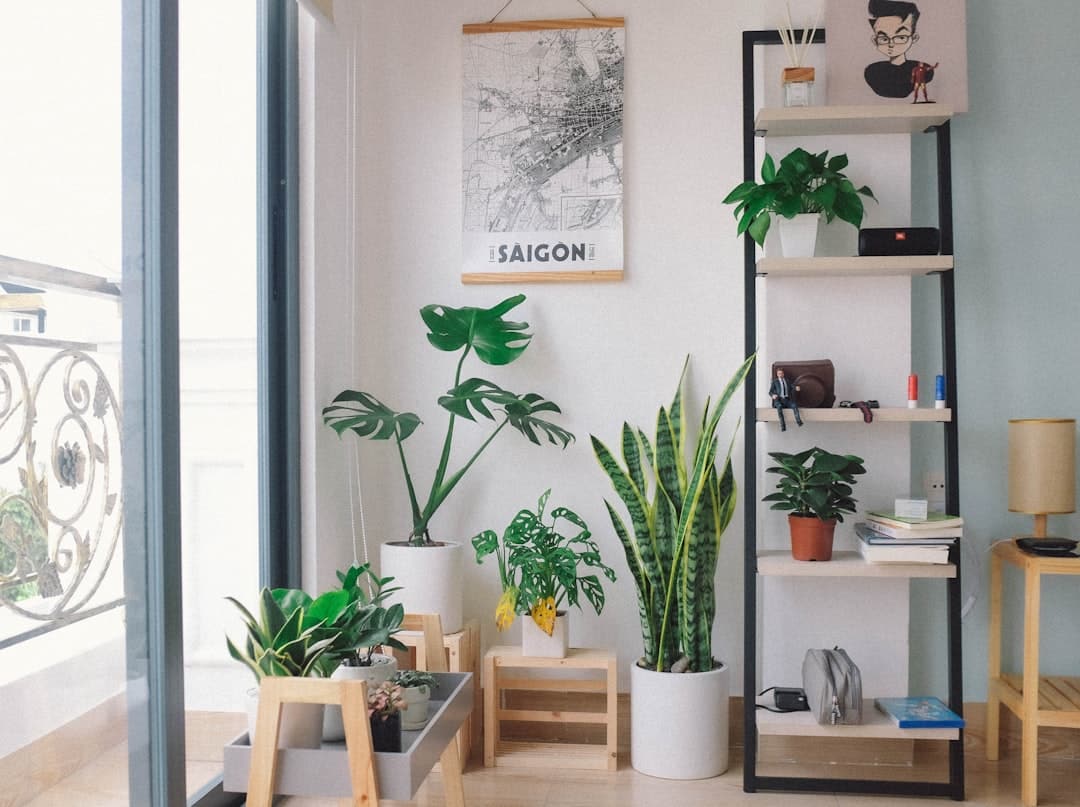 découvrez l'art du jardin d'intérieur avec nos conseils et astuces pour créer un espace verdoyant chez vous. transformez votre intérieur en un havre de paix en cultivant des plantes d'intérieur adaptées à votre environnement.